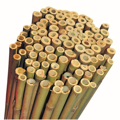 Bambu Bitki Destek Çubuğu 120cm 10'lu Set - 1